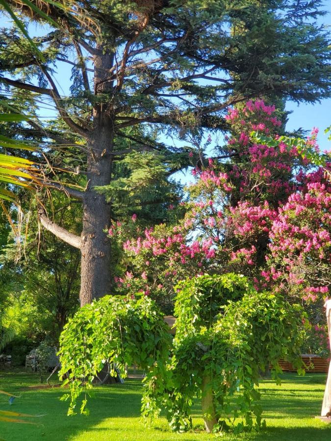 مبيت وإفطار Lujan de Cuyo Quinta Ugarte المظهر الخارجي الصورة