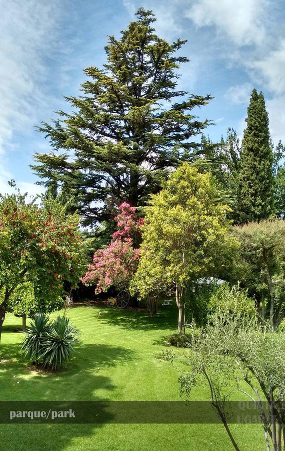 مبيت وإفطار Lujan de Cuyo Quinta Ugarte المظهر الخارجي الصورة