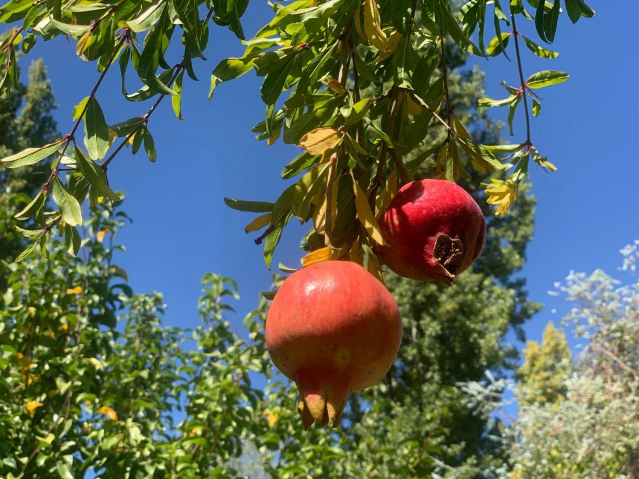 مبيت وإفطار Lujan de Cuyo Quinta Ugarte المظهر الخارجي الصورة